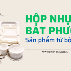 so-sanh-hop-xop-hop-nhua-va-hop-bot-bap